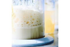Precision fermentation.